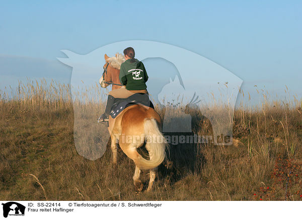 Frau reitet Haflinger / woman rides haflinger horse / SS-22414