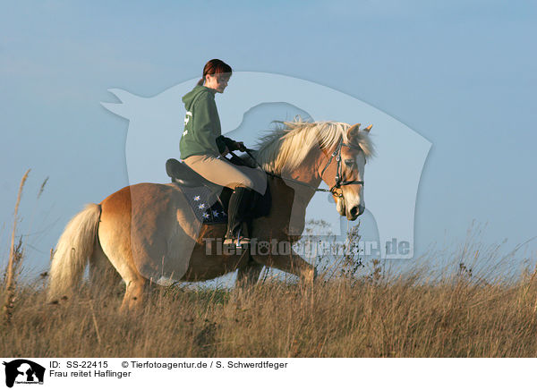 Frau reitet Haflinger / woman rides haflinger horse / SS-22415