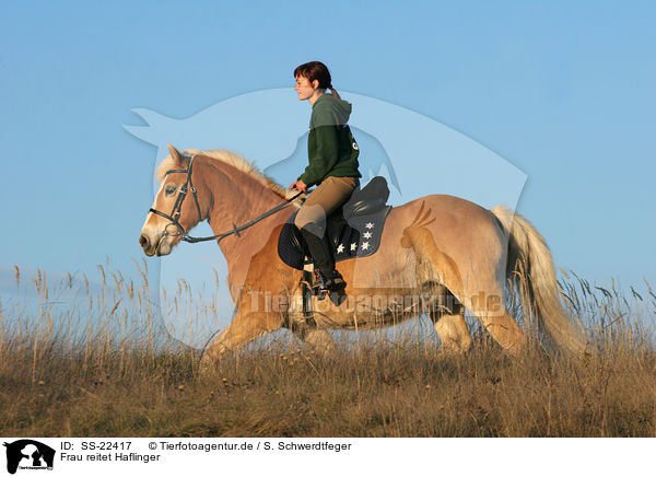 Frau reitet Haflinger / woman rides haflinger horse / SS-22417