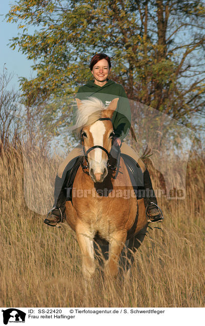 Frau reitet Haflinger / woman rides haflinger horse / SS-22420