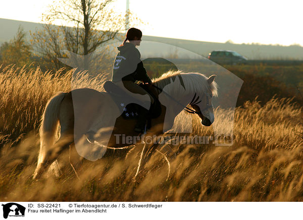 Frau reitet Haflinger / woman rides haflinger horse / SS-22421