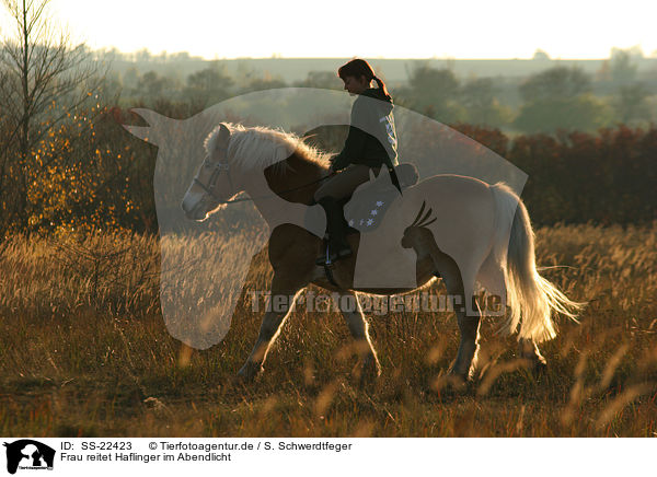 Frau reitet Haflinger / woman rides haflinger horse / SS-22423