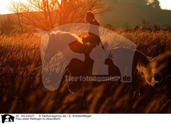 Frau reitet Haflinger / woman rides haflinger horse / SS-22427
