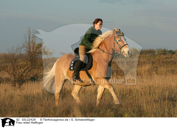 Frau reitet Haflinger / woman rides haflinger horse / SS-22429