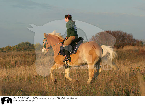 Frau reitet Haflinger / woman rides haflinger horse / SS-22430