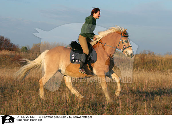 Frau reitet Haflinger / woman rides haflinger horse / SS-22433