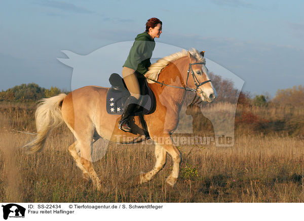 Frau reitet Haflinger / woman rides haflinger horse / SS-22434