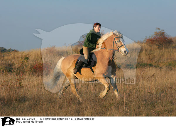 Frau reitet Haflinger / woman rides haflinger horse / SS-22435