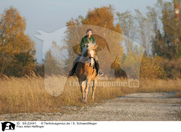 Frau reitet Haflinger / woman rides haflinger horse / SS-22441