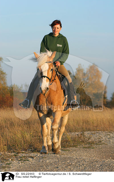 Frau reitet Haflinger / woman rides haflinger horse / SS-22443