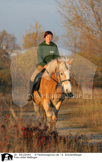 Frau reitet Haflinger / woman rides haflinger horse / SS-22444