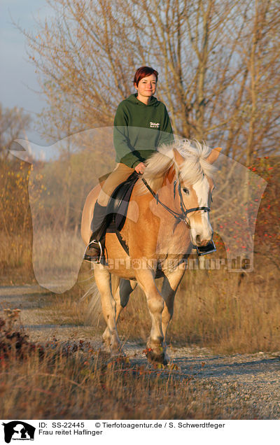 Frau reitet Haflinger / woman rides haflinger horse / SS-22445