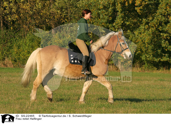 Frau reitet Haflinger / woman rides haflinger horse / SS-22465