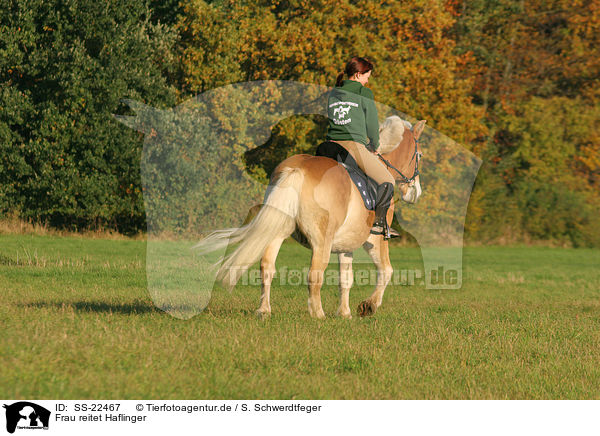 Frau reitet Haflinger / woman rides haflinger horse / SS-22467