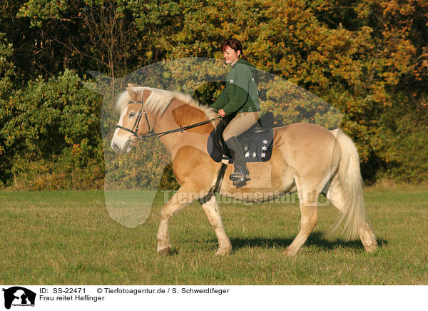Frau reitet Haflinger / woman rides haflinger horse / SS-22471