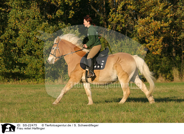 Frau reitet Haflinger / woman rides haflinger horse / SS-22475