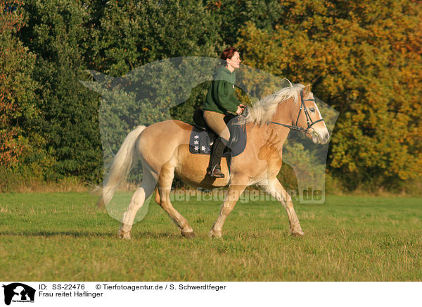 Frau reitet Haflinger / woman rides haflinger horse / SS-22476