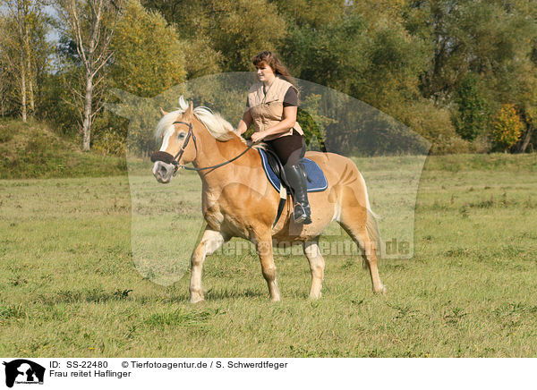 Frau reitet Haflinger / woman rides haflinger horse / SS-22480