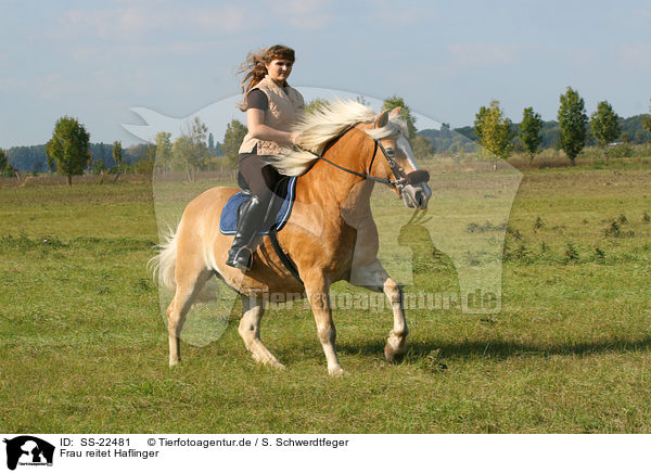 Frau reitet Haflinger / woman rides haflinger horse / SS-22481