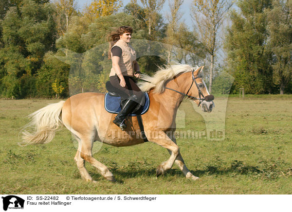 Frau reitet Haflinger / woman rides haflinger horse / SS-22482