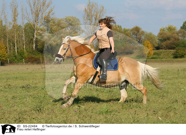 Frau reitet Haflinger / woman rides haflinger horse / SS-22484