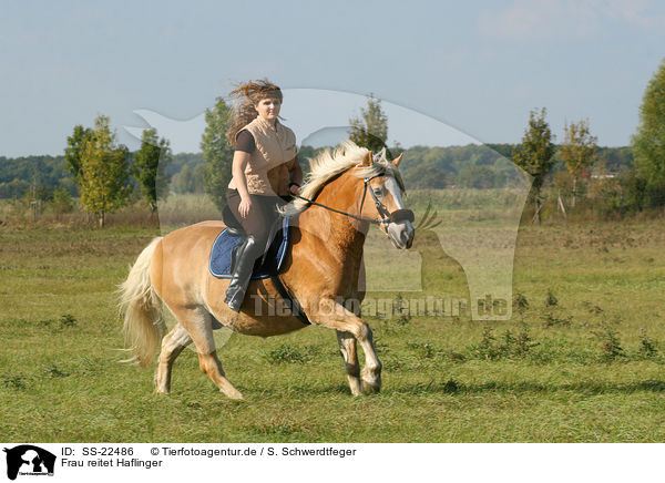 Frau reitet Haflinger / woman rides haflinger horse / SS-22486