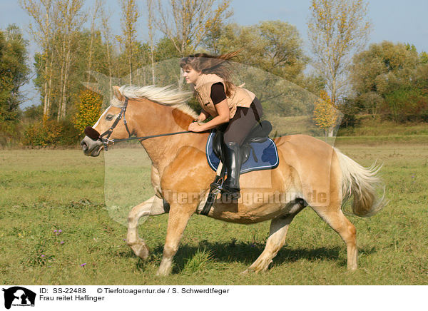 Frau reitet Haflinger / woman rides haflinger horse / SS-22488