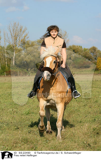Frau reitet Haflinger / woman rides haflinger horse / SS-22490