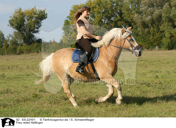 Frau reitet Haflinger / woman rides haflinger horse / SS-22491