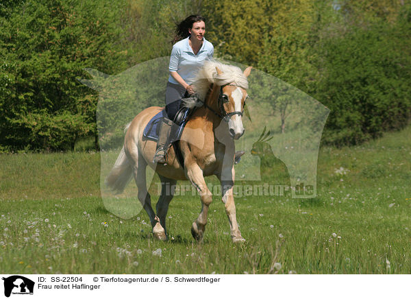 Frau reitet Haflinger / woman rides haflinger horse / SS-22504