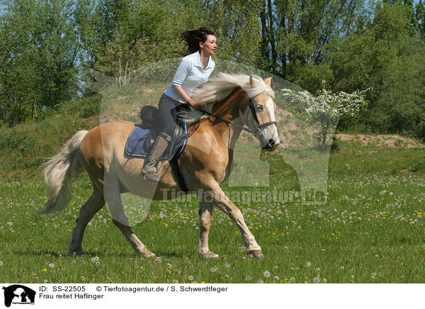 Frau reitet Haflinger / woman rides haflinger horse / SS-22505