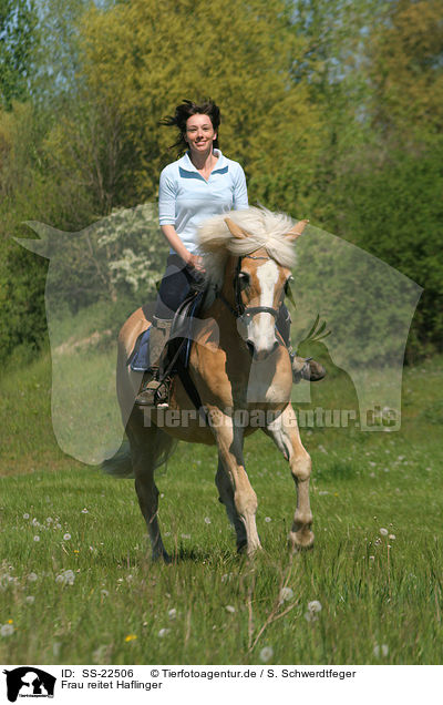 Frau reitet Haflinger / woman rides haflinger horse / SS-22506