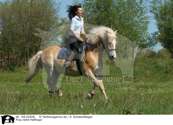 Frau reitet Haflinger / woman rides haflinger horse / SS-22508