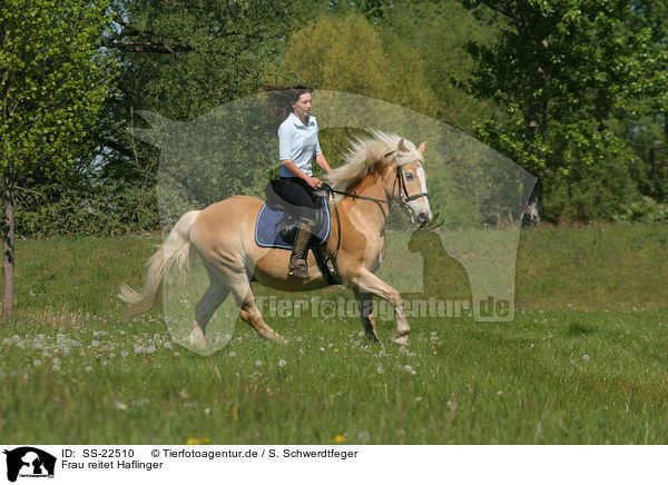 Frau reitet Haflinger / woman rides haflinger horse / SS-22510