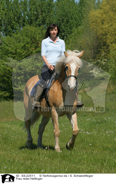 Frau reitet Haflinger / woman rides haflinger horse / SS-22511