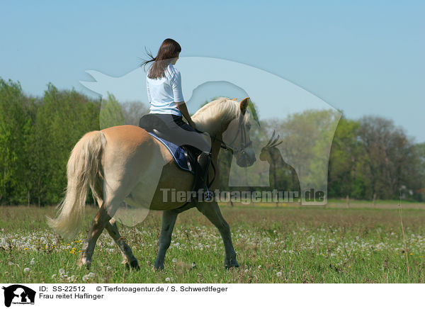 Frau reitet Haflinger / woman rides haflinger horse / SS-22512