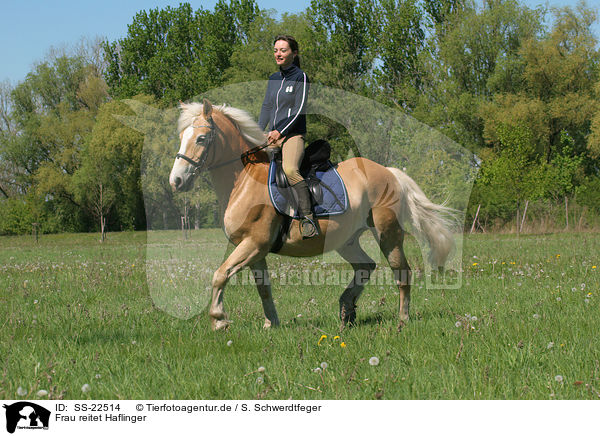 Frau reitet Haflinger / woman rides haflinger horse / SS-22514