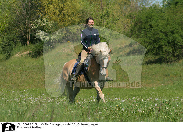 Frau reitet Haflinger / woman rides haflinger horse / SS-22515