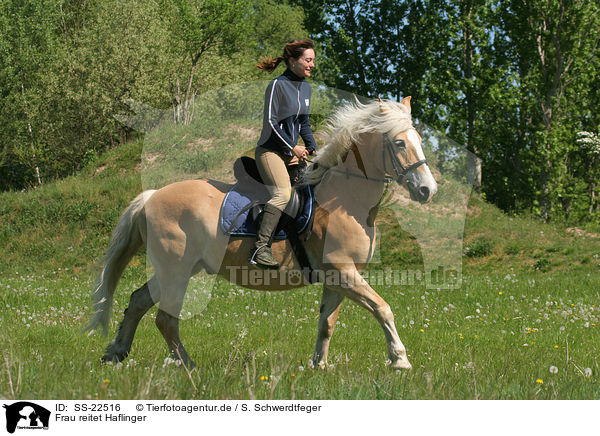 Frau reitet Haflinger / woman rides haflinger horse / SS-22516