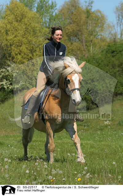 Frau reitet Haflinger / woman rides haflinger horse / SS-22517