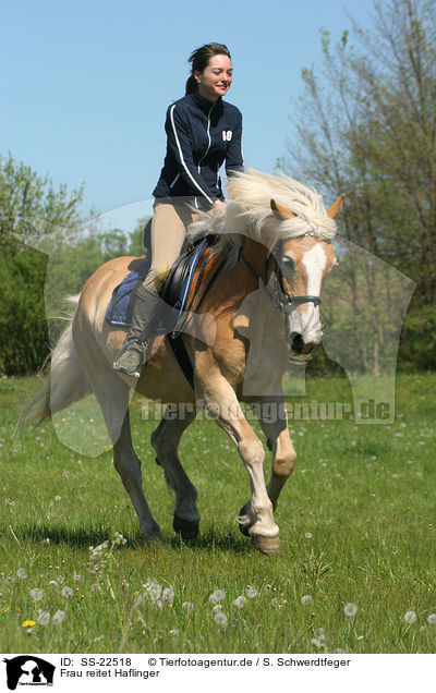 Frau reitet Haflinger / woman rides haflinger horse / SS-22518