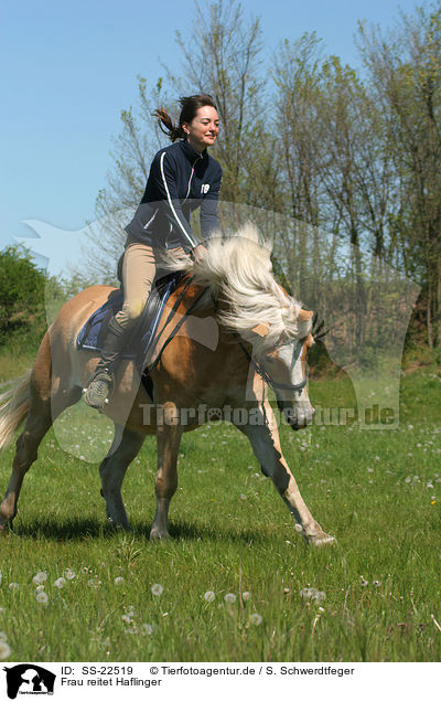 Frau reitet Haflinger / woman rides haflinger horse / SS-22519