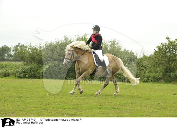 Frau reitet Haflinger / woman rides Haflinger horse / AP-08740