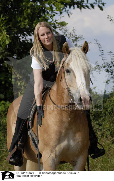 Frau reitet Haflinger / woman rides Haflinger horse / AP-10627
