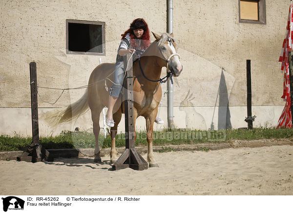 Frau reitet Haflinger / woman rides Haflinger horse / RR-45262