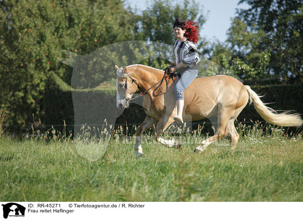 Frau reitet Haflinger / woman rides Haflinger horse / RR-45271