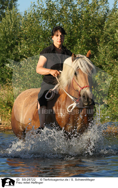 Frau reitet Haflinger / woman rides Haflinger horse / SS-28722