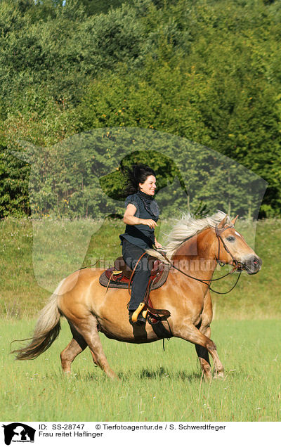 Frau reitet Haflinger / SS-28747