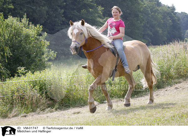 Mdchen und Haflinger / girl and Haflinger horse / VM-01747