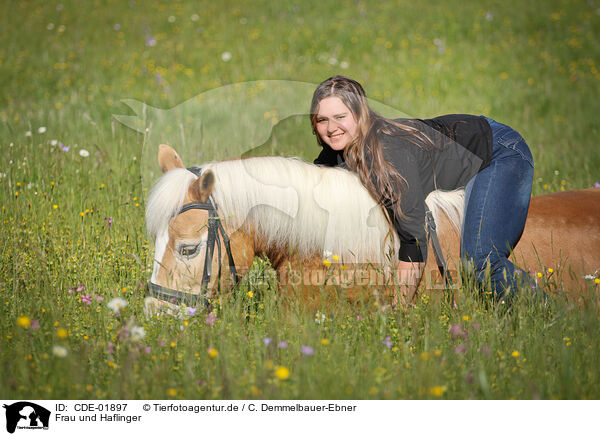 Frau und Haflinger / woman and Haflinger horse / CDE-01897